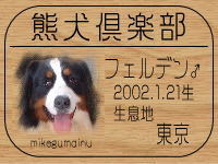 �I�[�i�[�́Abasel mama����ł���